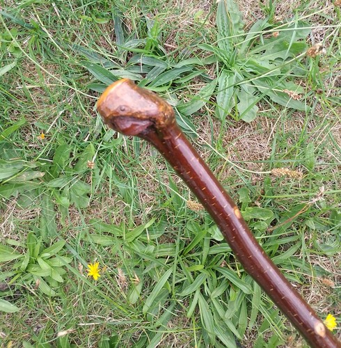 Vintage wooden root high - wooden,
