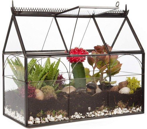 Eco glass greenhouse - d'eco,