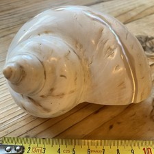 LARGE  MOTHER OF PEARL CONCH