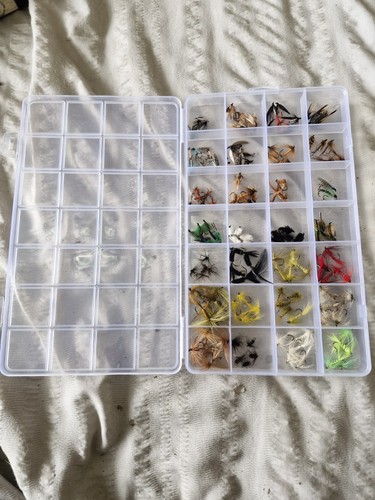 Box with 140 trout - box,