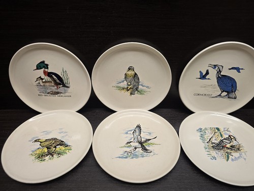Devon pottery bird - devon,