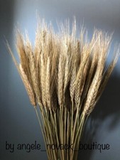 50 PCS STEMS DRIED WHEAT/RYE