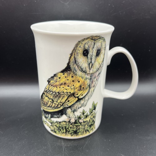 Barn owl bird - bird, mug