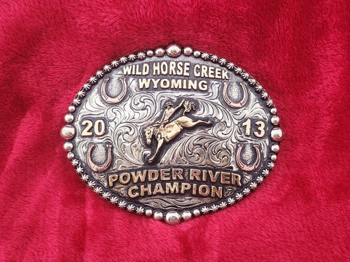 Bronc riding championship - riding,