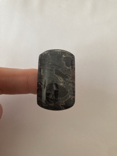 Petrified palm wood cabachon - cabachon,