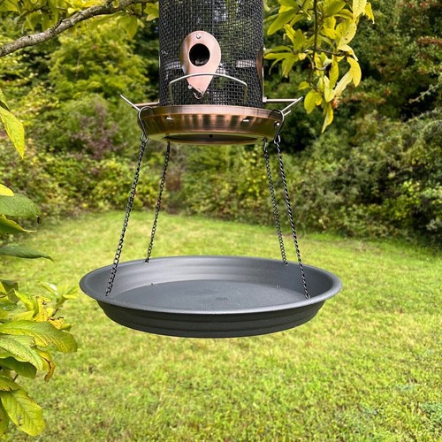 Large hanging wild bird - hanging, feeder
