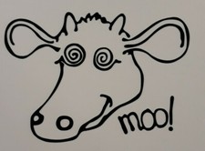  Inspiral  carpets 5 x 4"