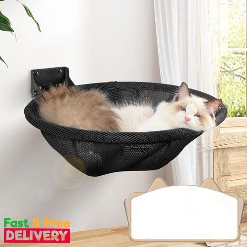 Cat hammock wall - cat, mounted