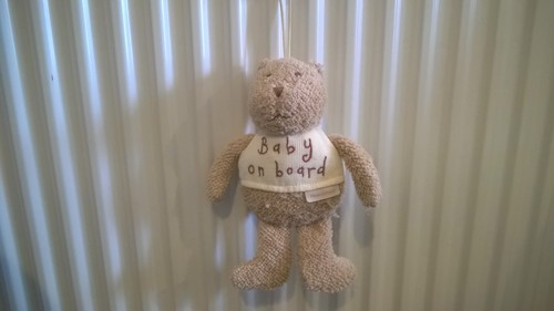 Teddy bear wearing vest - bear,