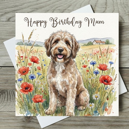 Labradoodle birthday card - labradoodle,