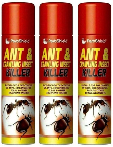 Pestshield ant crawling - 3, &