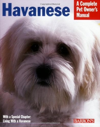 Havanese everything about - havanese:,