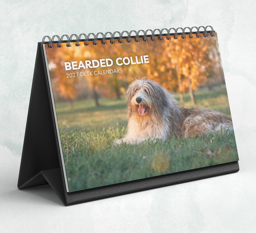 Bearded collie desk calendar - desk,