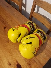 Rex Leather Boxing Gloves