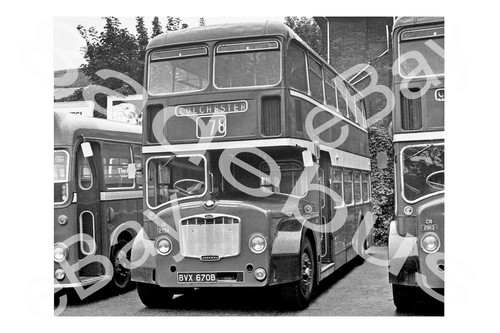 Bus photograph eastern - bus,