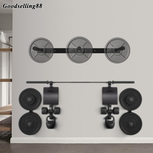 Wall mounted weight plate - wall,