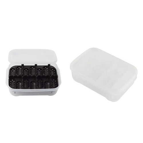 Reptile breeding box egg - reptile,