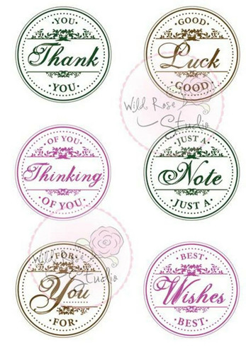 Wild rose studio circle - rose,