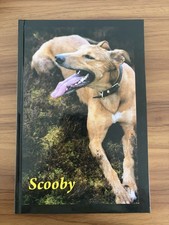 Scooby Book by Jonathan Darcy