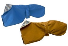 GREYHOUND / WHIPPET / LURCHER