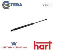 802 456 TAILGATE BOOT STRUTS