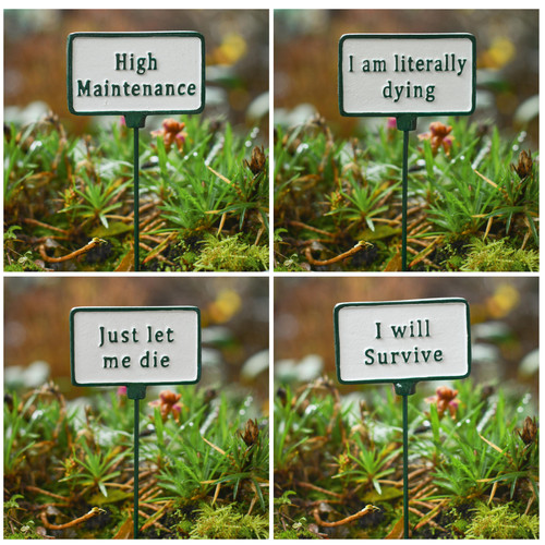 Funny cast iron plant - funny,