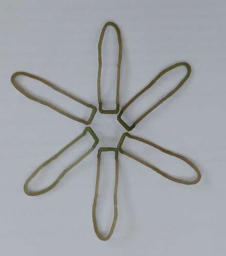 Original timpo gold - 6,