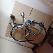 Raleigh  Wildcat Street Wolf