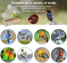 2 X Hanging Window Wild Bird