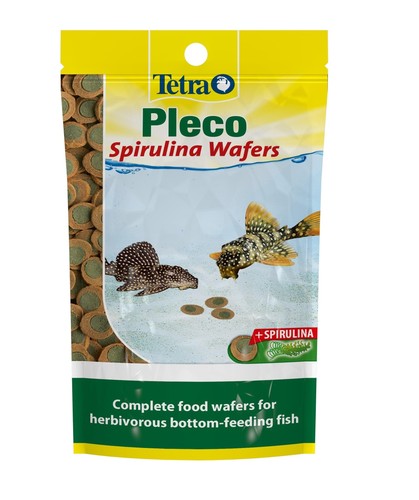 Tetra pleco fish - fish, food