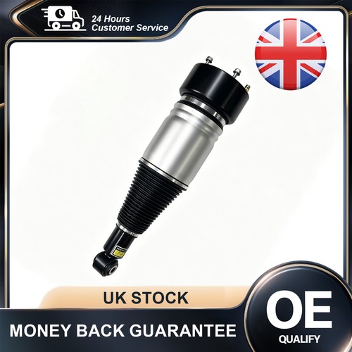 Rear air suspension shock - rear,