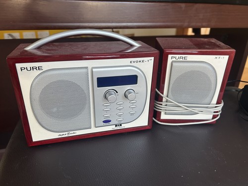 Pure evoke 1xt - pure, dab