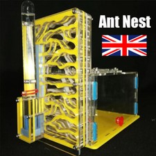 Ant house farm - ant,