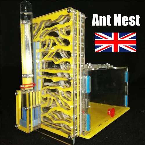 Ant house - house, farm