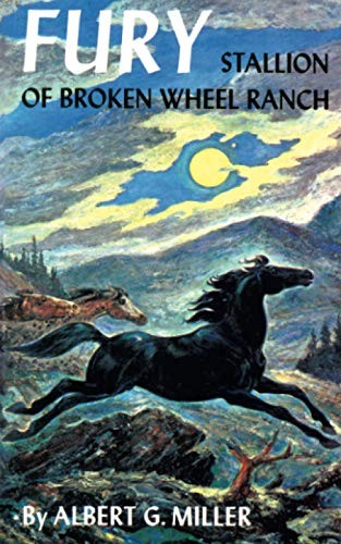 Fury stallion broken wheel - fury:,