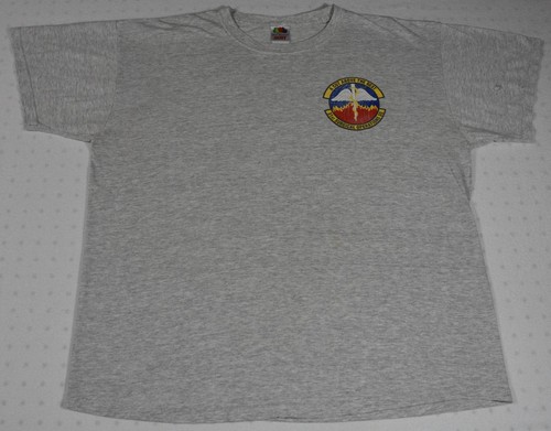 Air force 31st surgical - force,