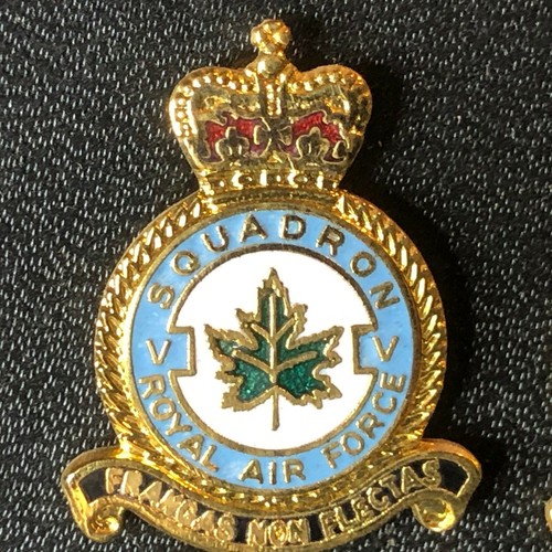 Squadron raf royal air - royal,
