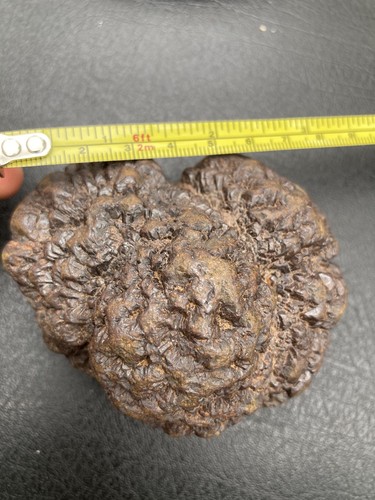 Iron pyrite nodule from seven - nodule,