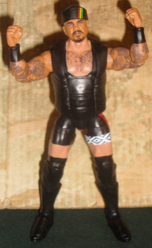 Wwe wrestling figure - figure, mattel