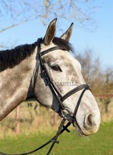 Leather Comfort Horse Bridle