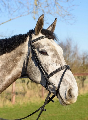 Leather comfort horse - leather,