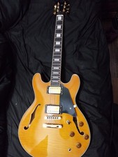 J & D Semi Hollow Archtop