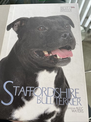 Staffordshire bull terrier - terrier, by