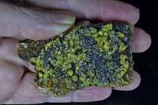 Campylite Mimetite from Dry