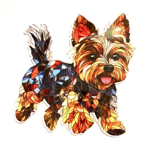 Adorable yorkshire terrier - yorkshire,