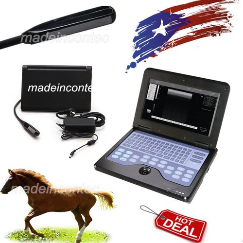 Vet veterinary ultrasound - veterinary,