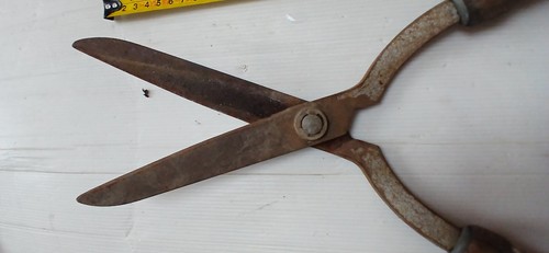 Large sharp vintage - , garden