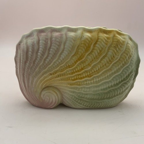 Vintage vase nautilus shell - vase,