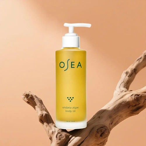 Osea undaria algae body - undaria,