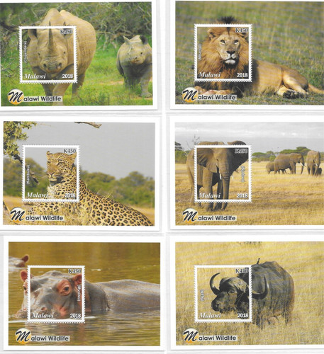 Malawi 2018 wildlife - malawi,